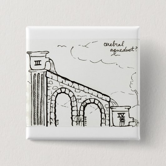 Knopf des zerebralen Aquädukts Button (Vorderseite)
