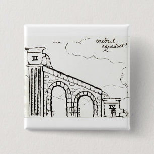 Knopf des zerebralen Aquädukts Button