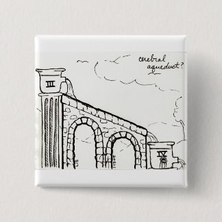 Knopf des zerebralen Aquädukts Button