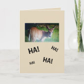 Knopf-Dollar-Geburtstag Karte (Vorderseite)