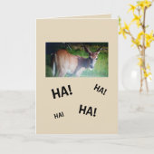 Knopf-Dollar-Geburtstag Karte (Gelbe Blume)