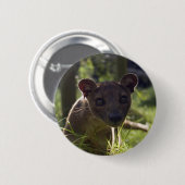 Knopf - Fossa Button (Vorne & Hinten)