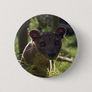Knopf - Fossa Button