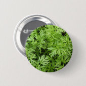 Knopf für Carrot-Tops Button (Vorne & Hinten)