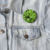 Knopf für Carrot-Tops Button (Beispiel)