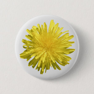 Knopf Gelber Löwenzahn Button