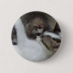 Knopf Katzenschnecke Button