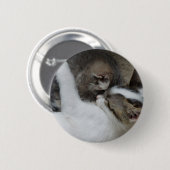 Knopf Katzenschnecke Button (Vorne & Hinten)