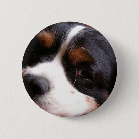Knopf König-Charles Cavalier Spaniel Round Button (Vorderseite)