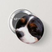 Knopf König-Charles Cavalier Spaniel Round Button (Vorne & Hinten)