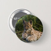 Knopf - Luchs Button (Vorne & Hinten)