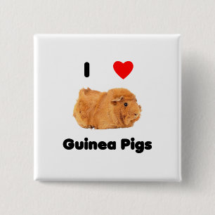 Knopf Meerschweinchen der Liebe I Button
