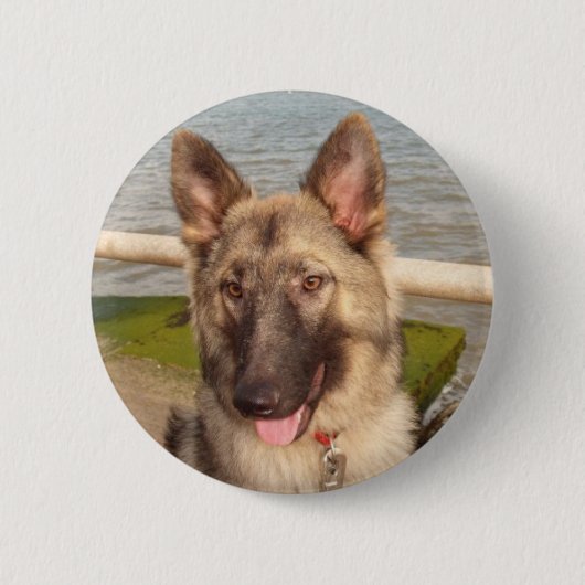 Knopf mit deutschem Hirte Button (Vorderseite)