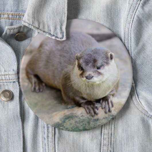 Knopf mit kleckgelbem Otter Button (Beispiel)