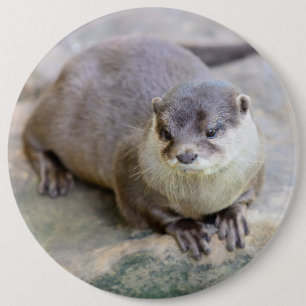 Knopf mit kleckgelbem Otter Button