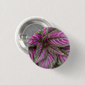 Knopf - persisches Schild Button (Vorne & Hinten)