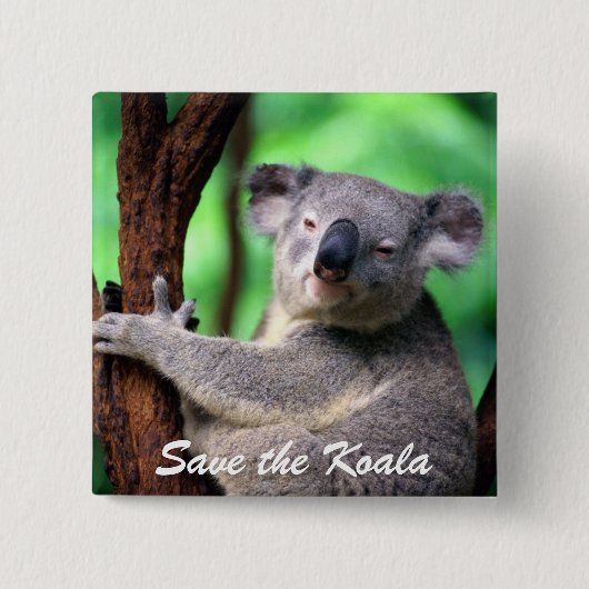 Knopf-Retten Sie den Koala-Bären Button (Vorderseite)
