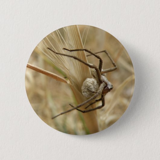 Knopf Spinne und Eier Button (Vorderseite)