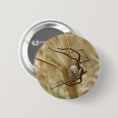 Knopf Spinne und Eier Button (Vorne & Hinten)