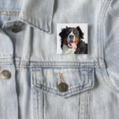 Knopf Wasserfarbe Berner Hund Button (Beispiel)