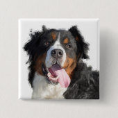Knopf Wasserfarbe Berner Hund Button (Vorderseite)