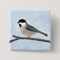 Knopf Wasserfarbe Schwarz gekappte Chickadee
