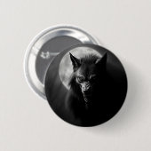 Knöpfe  button (Vorne & Hinten)