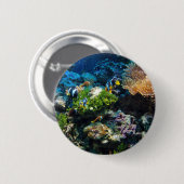 Knöpfe für Korallenriffe Button (Vorne & Hinten)