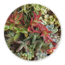 Knöpfe für kundenspezifische Keramik