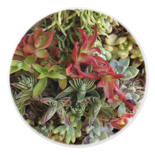 Knöpfe für kundenspezifische Keramik Keramikknauf (Vorderseite)