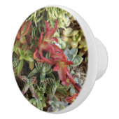 Knöpfe für kundenspezifische Keramik Keramikknauf (Rechts)