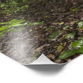 Knöpfe Roots. Regenwald, Mapari Rupuni, Fotodruck (Ecke)