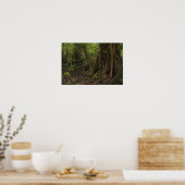 Knöpfe Roots. Regenwald, Mapari Rupuni, Poster (Küche)