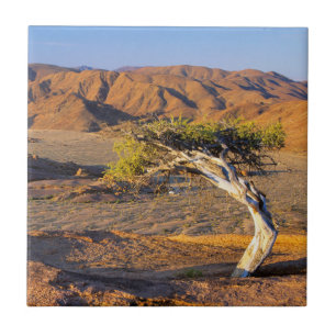 Knorriger Baum und Wüstenlandschaften, Richtersvel Fliese