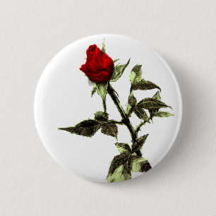 Knospe der Roten Rose angezeichnet Button