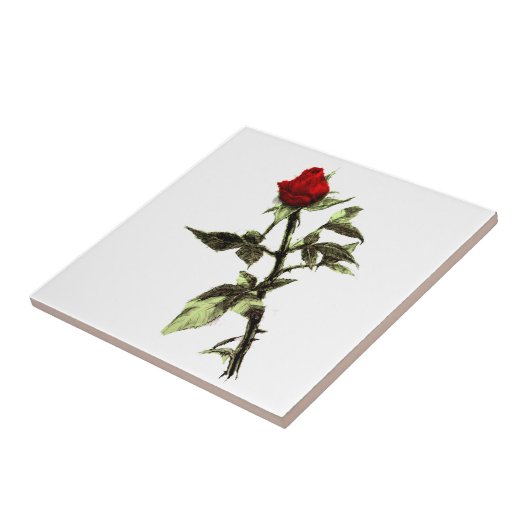 Knospe der Roten Rose Fliese (Seite)