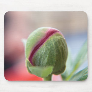 Knospe einer Pfingstrose/Pfingstrosen Mousepad
