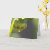 Knospe und Tropfengrußkarte Karte (Gelbe Blume)