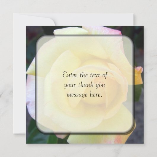 Knospende gelbe Rose danken Ihnen Karten (Rückseite)