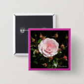 Knospende rosa Rosen-Knospen Button (Vorne & Hinten)
