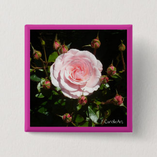 Knospende rosa Rosen-Knospen Button