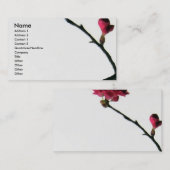 Knospung des dann blühenden orientalischen visitenkarte (Vorne/Hinten)