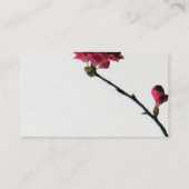 Knospung des dann blühenden orientalischen visitenkarte (Rückseite)