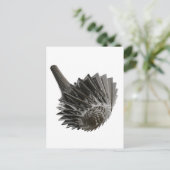 knoten2009 postkarte (Stehend Vorderseite)