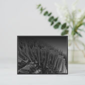 knoten 2004 postkarte (Stehend Vorderseite)