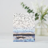 Knoten an der Küste Postkarte (Stehend Vorderseite)