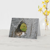 Knoten Karte (Gelbe Blume)