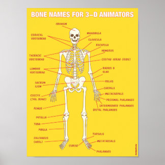 Knotennamen für 3D-Animatoren Poster