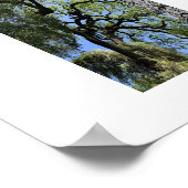 Knots Reflection Photography Poster (Ecke)