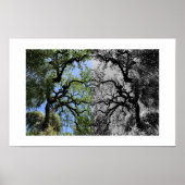 Knots Reflection Photography Poster (Vorne)